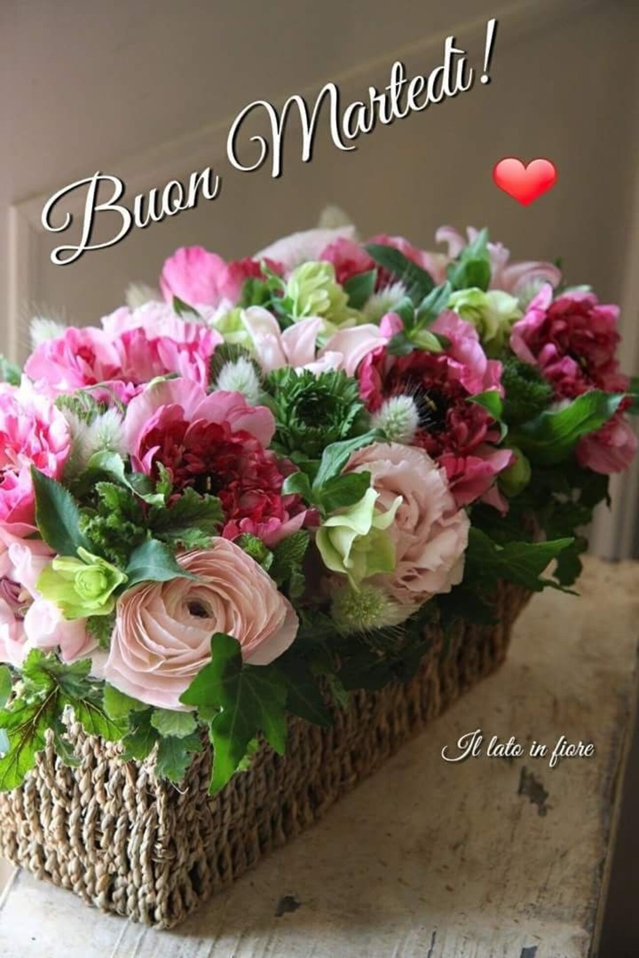 Buon Martedì