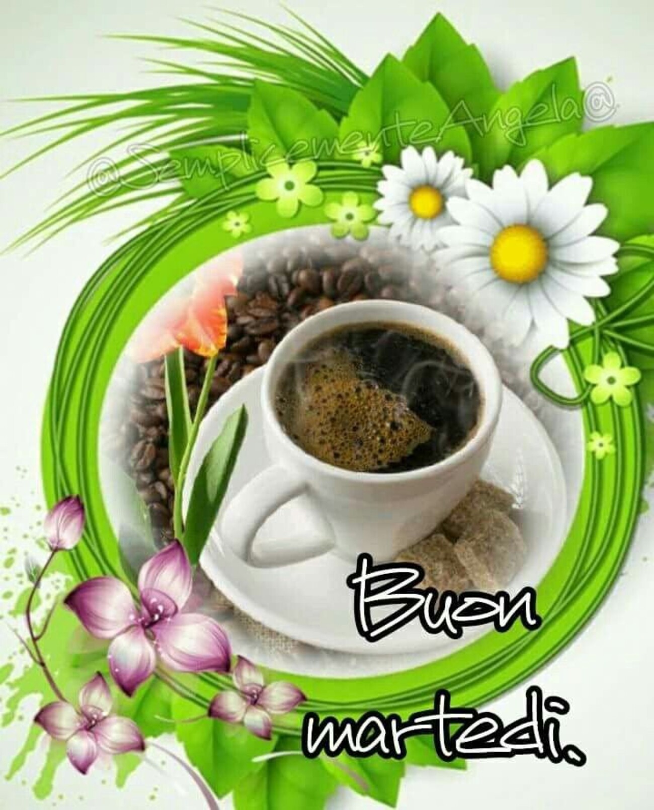 Buon martedì