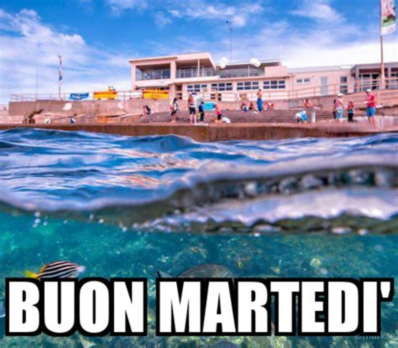 Buon martedì