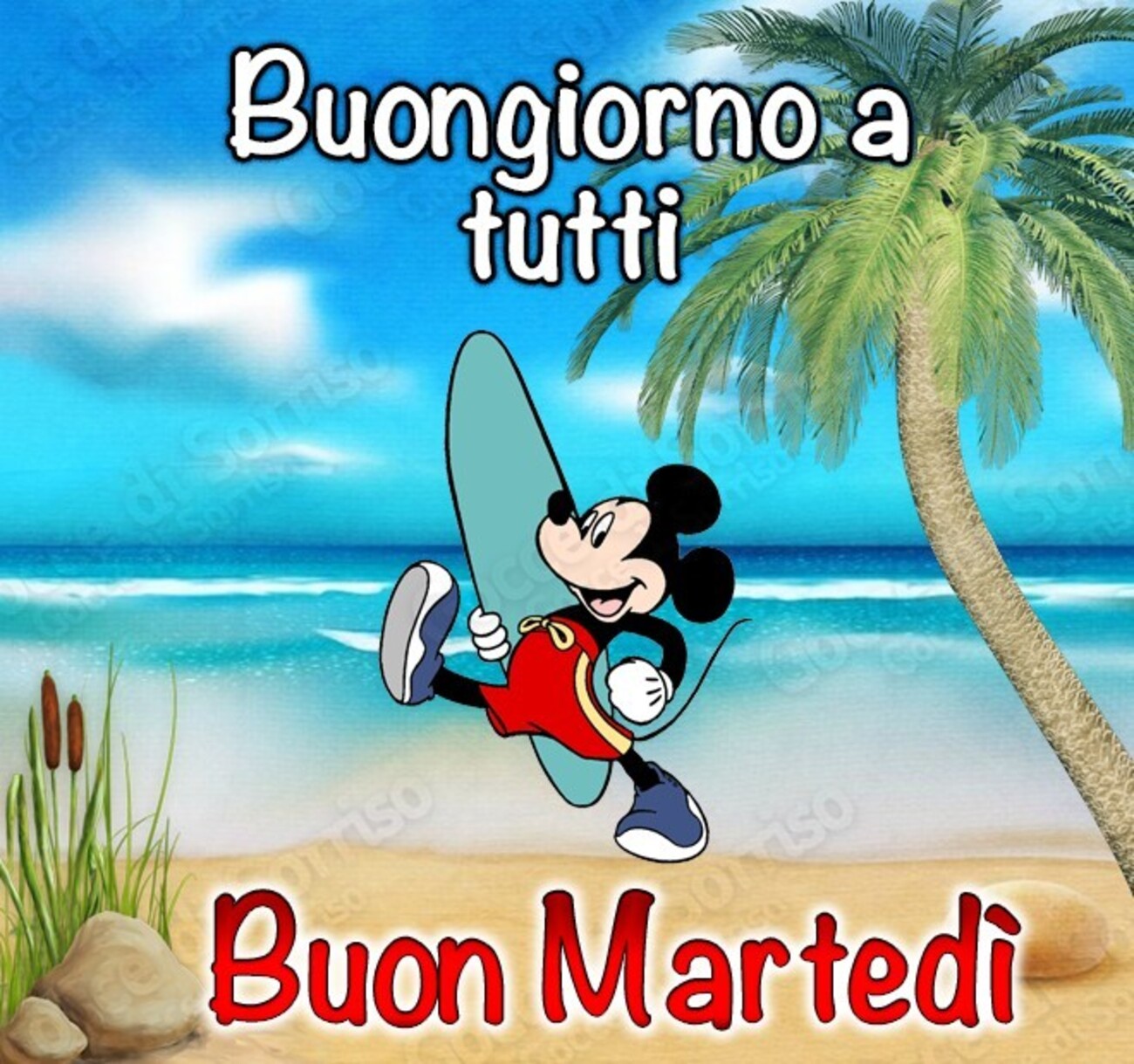 Buongiorno a tutti Buon martedì