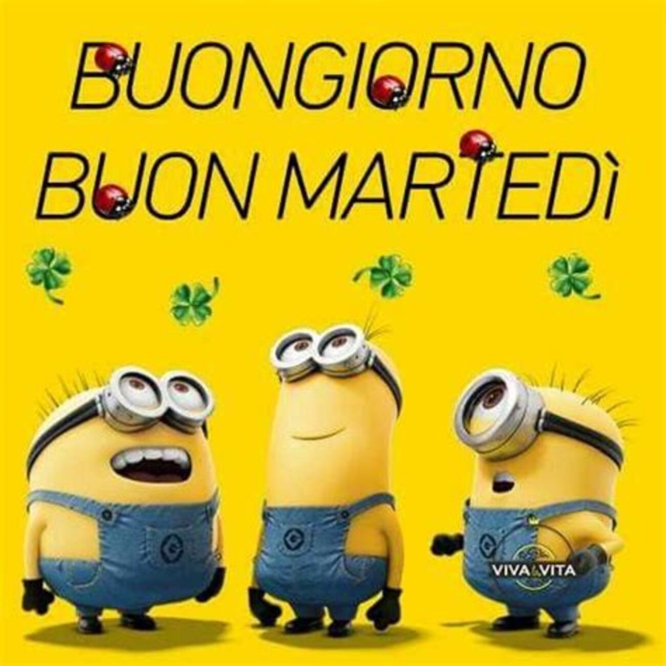 Buongiorno Buon Martedì