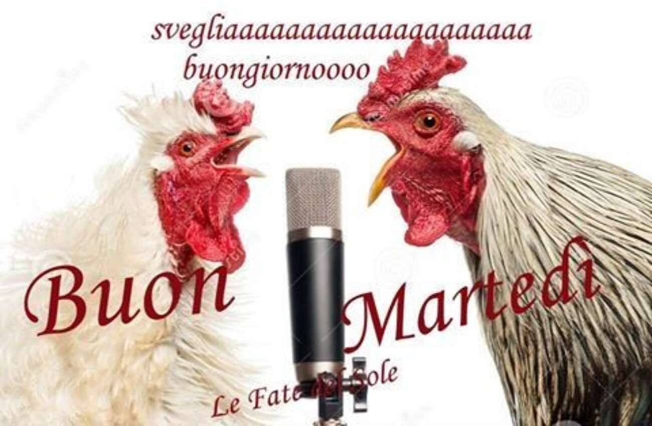 Svegliaaaaaa buon martedì