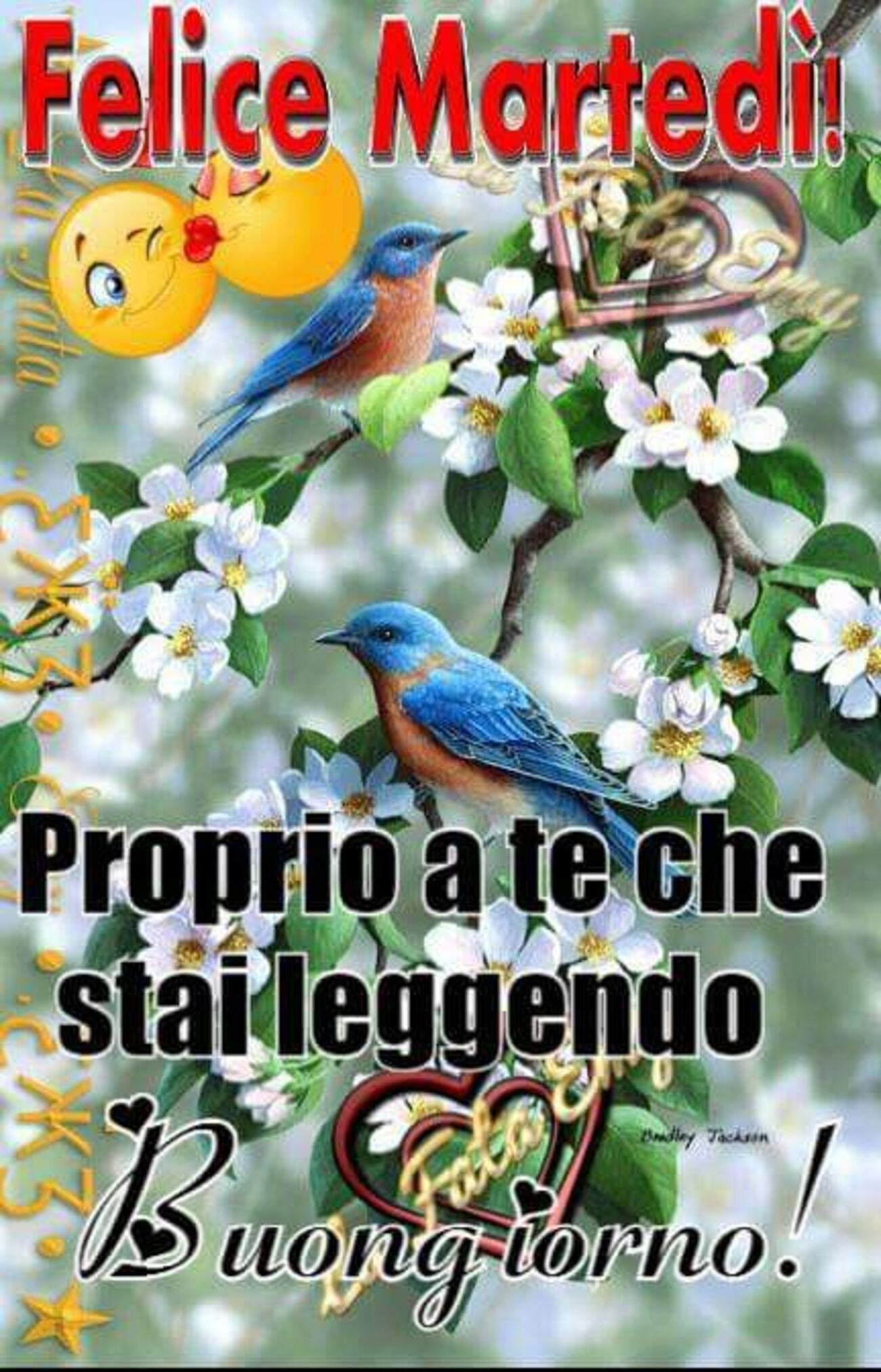 Felice Martedì proprio a te che stai leggendo Buongiorno