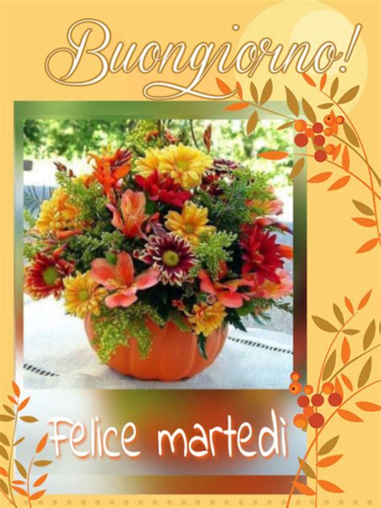 Buongiorno Felice Martedì