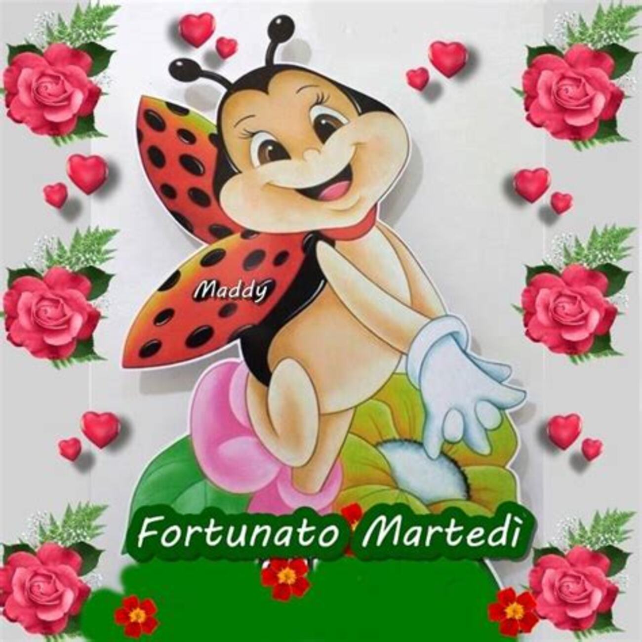 Fortunato Martedì