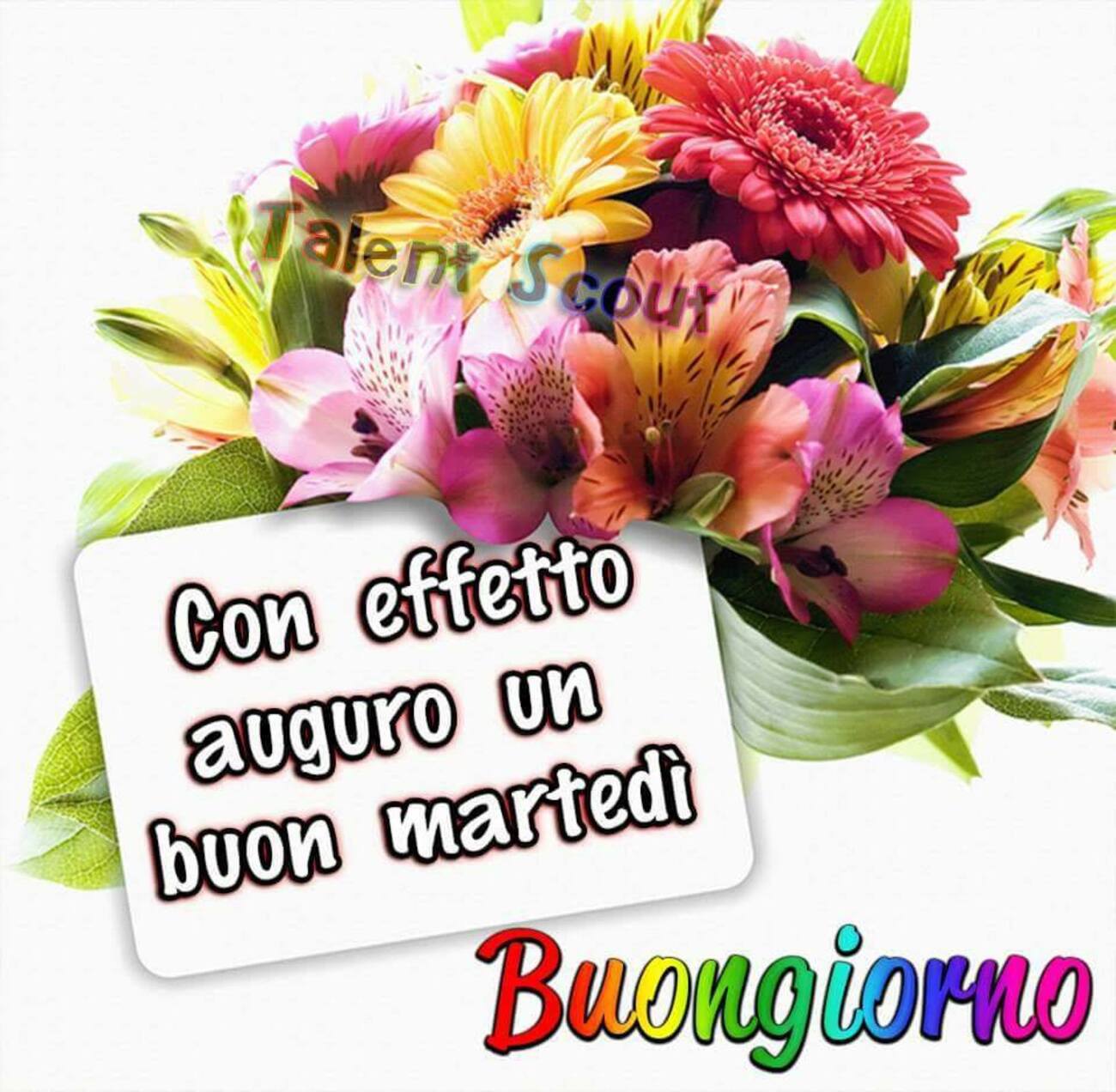 Con effetto auguro un buon martedì buongiorno