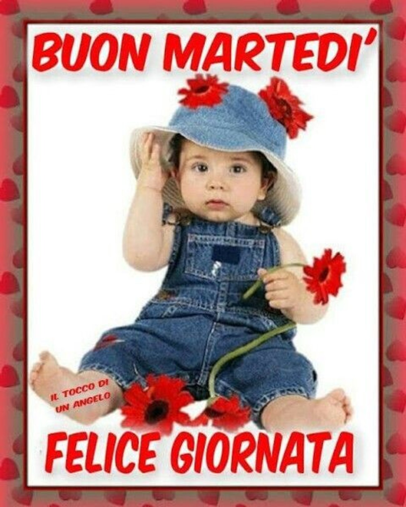 Buon Martedì felice giornata