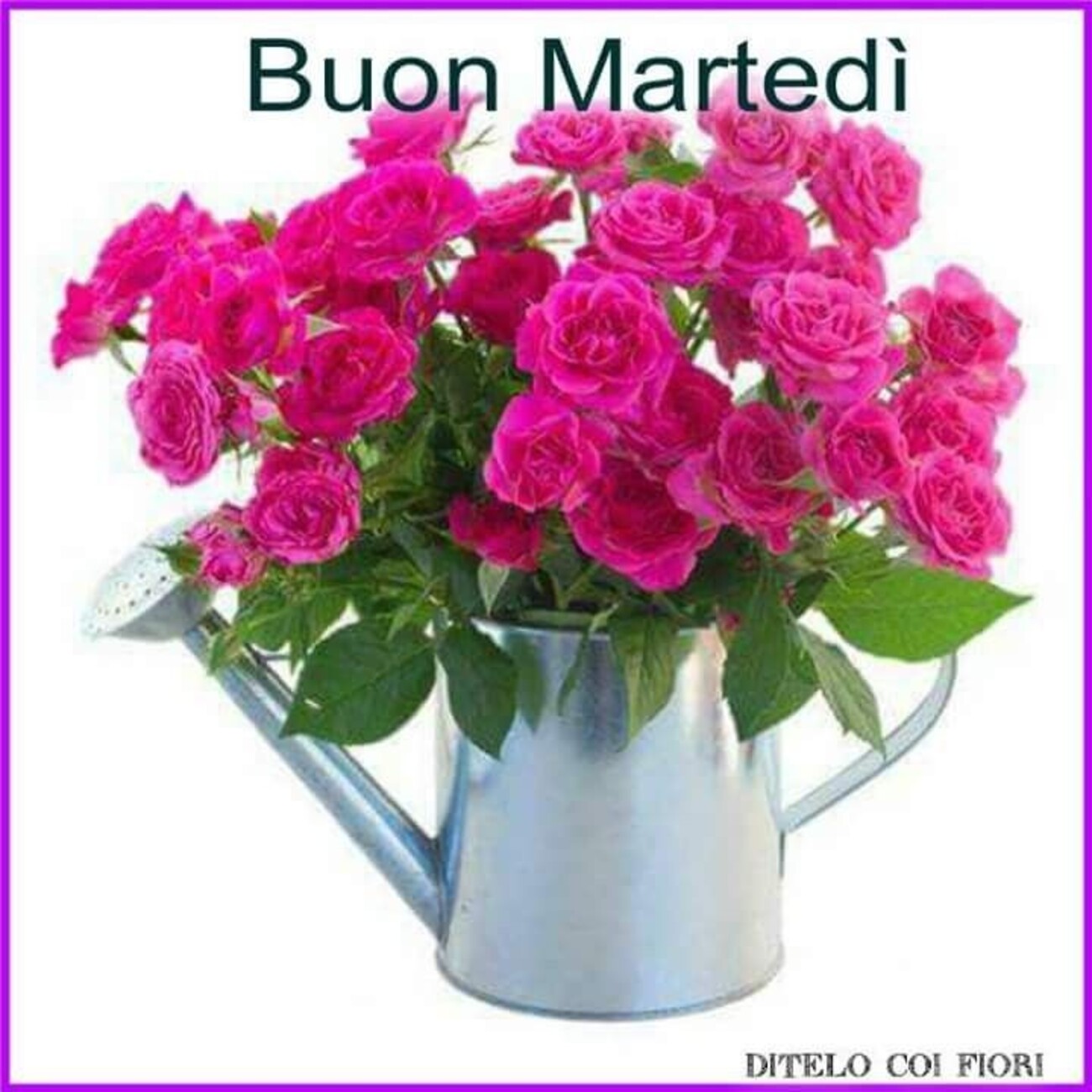 Buon Martedì