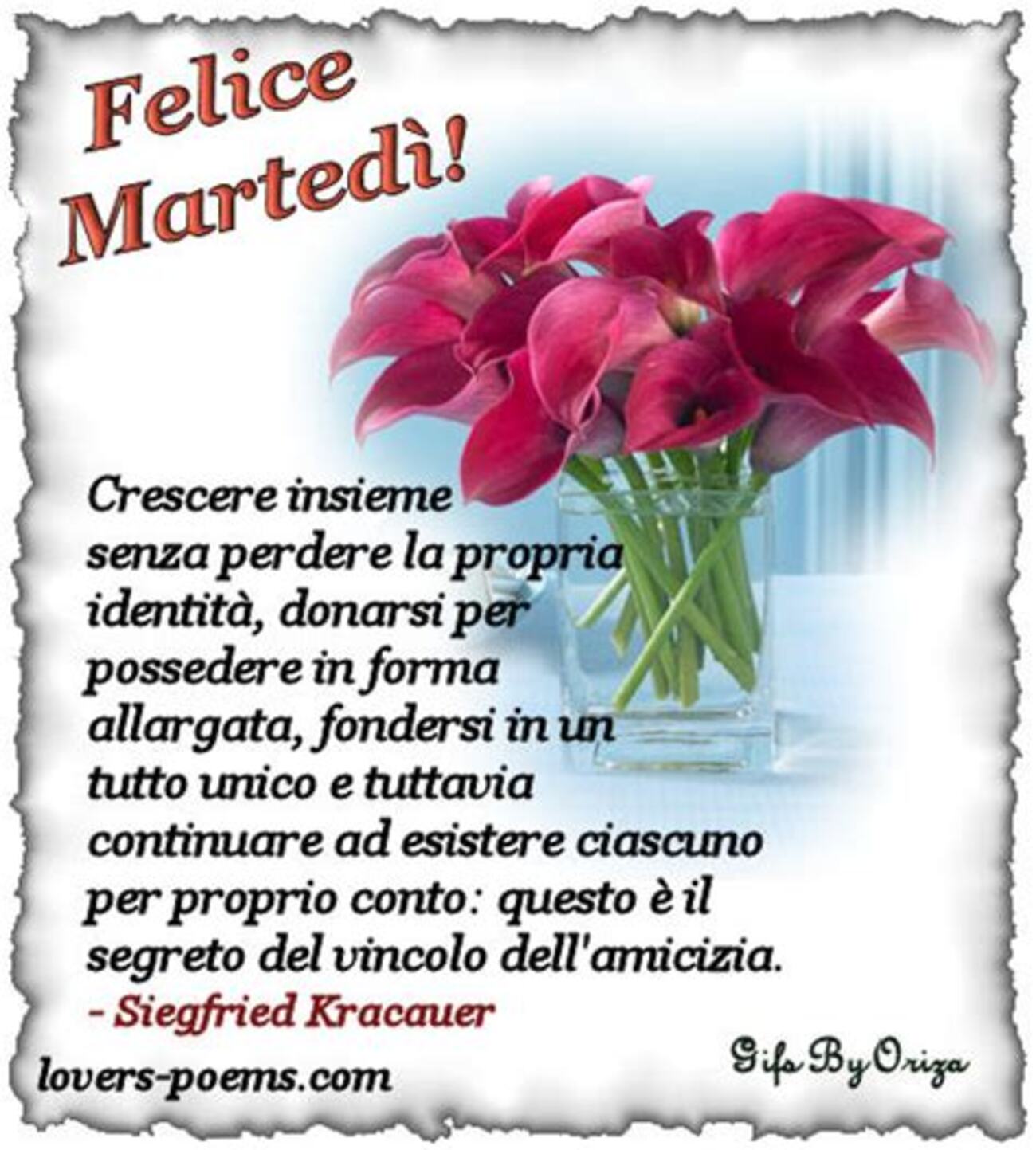 Felice martedì belle frasi