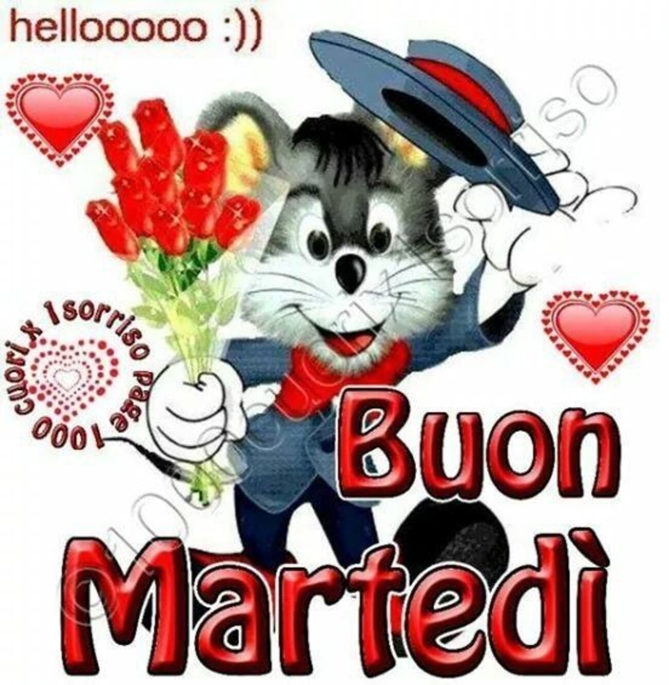 Buon Martedì