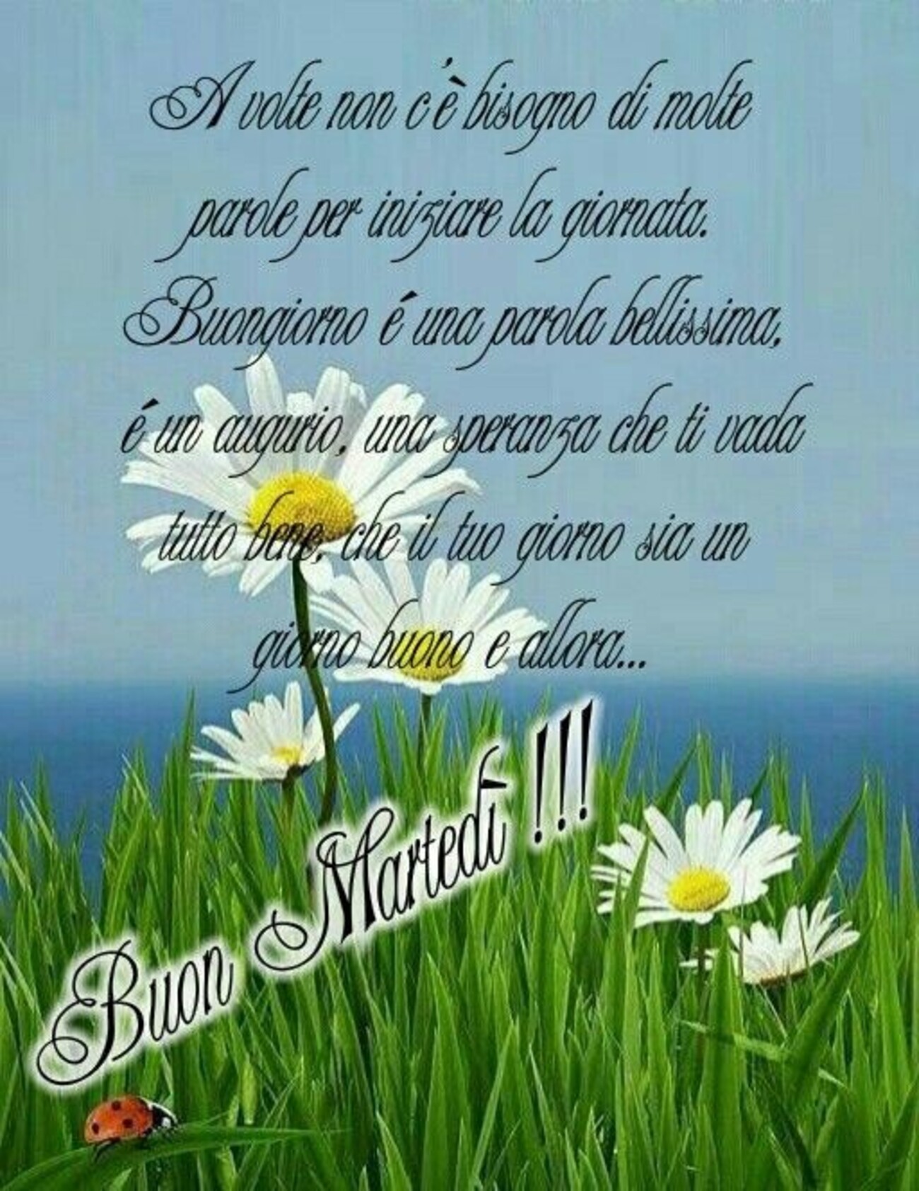 Buon martedì frasi