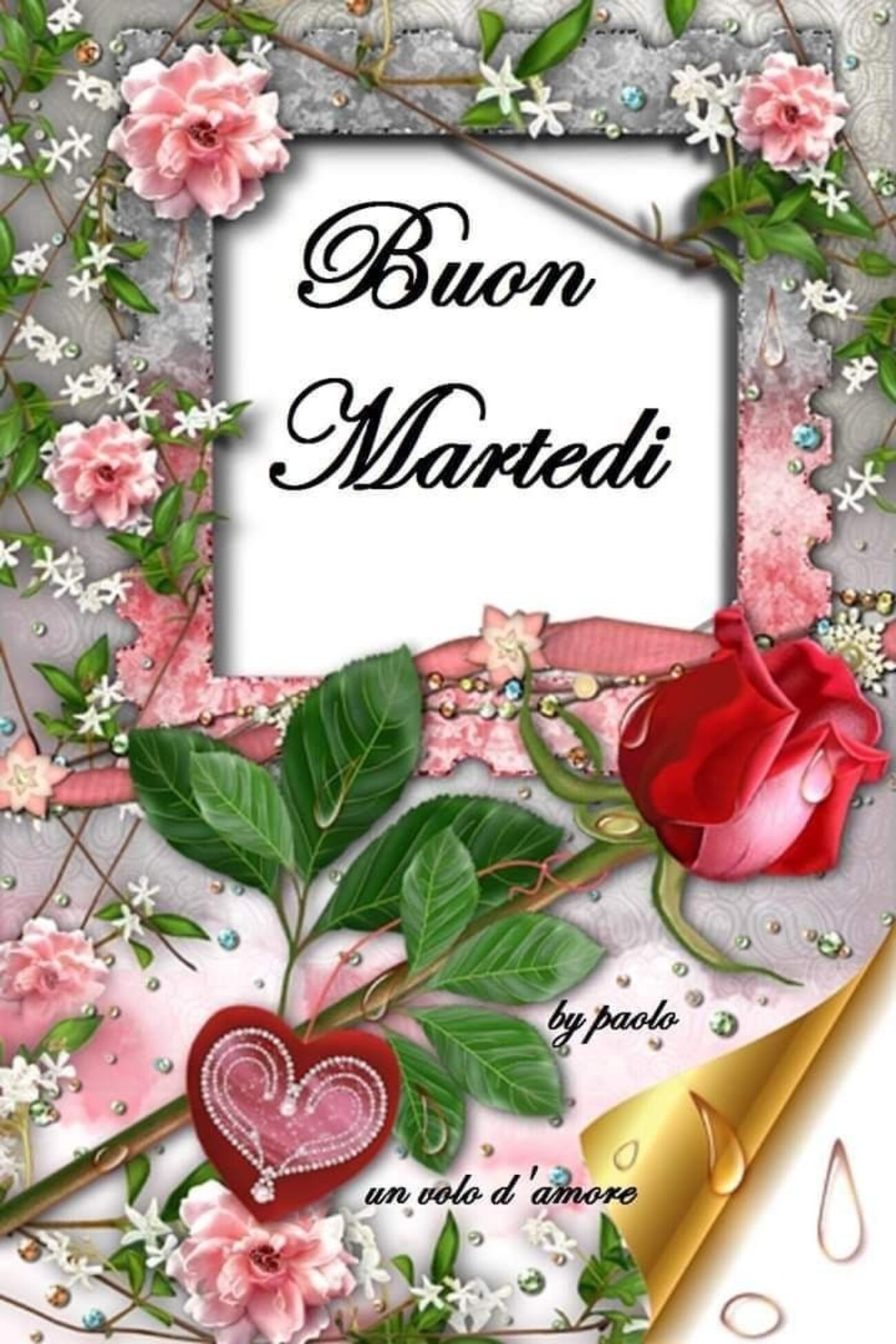 Buon Martedì