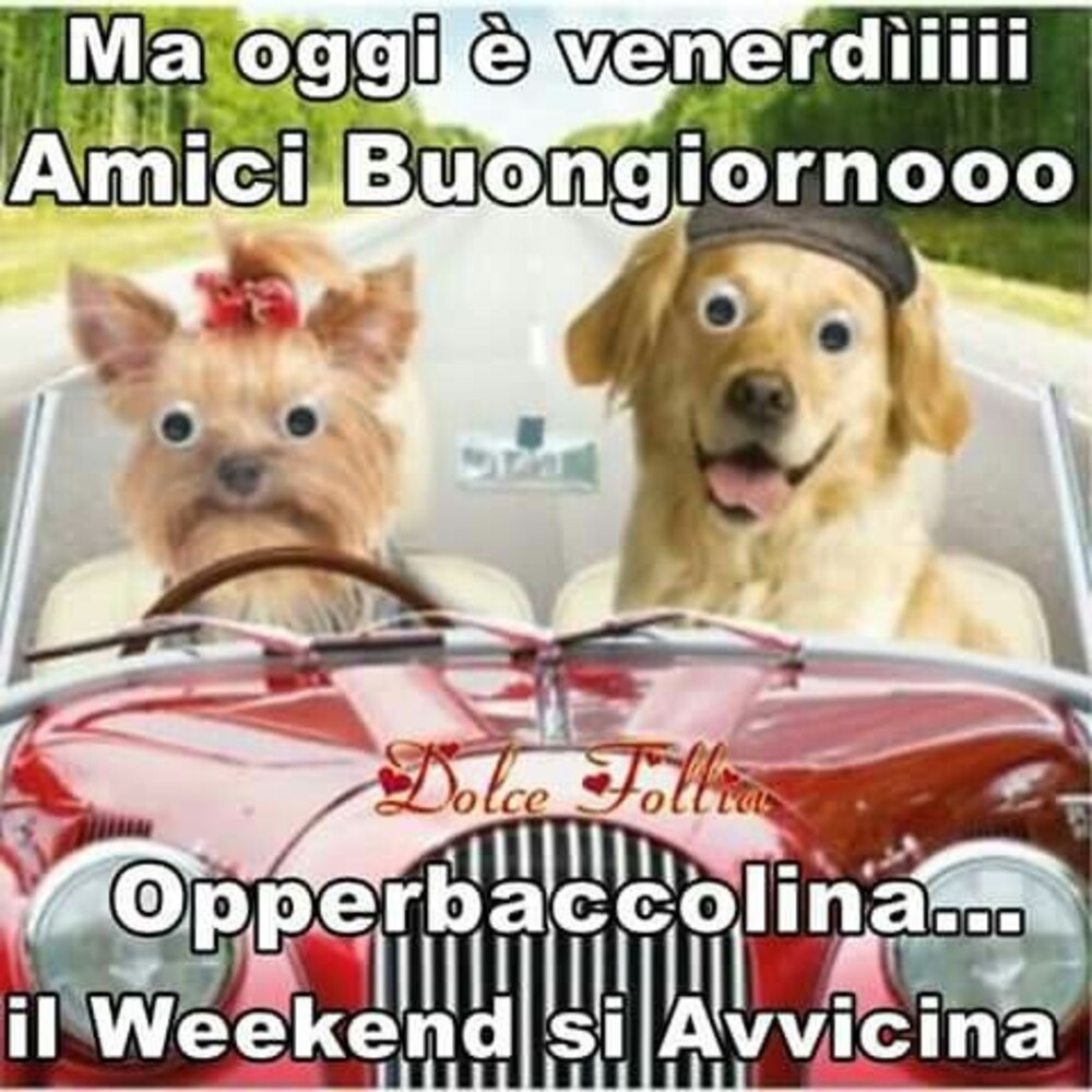 Ma oggi è venerdì amici buongiornoooo...opperbaccolina...il weekend si avvicina