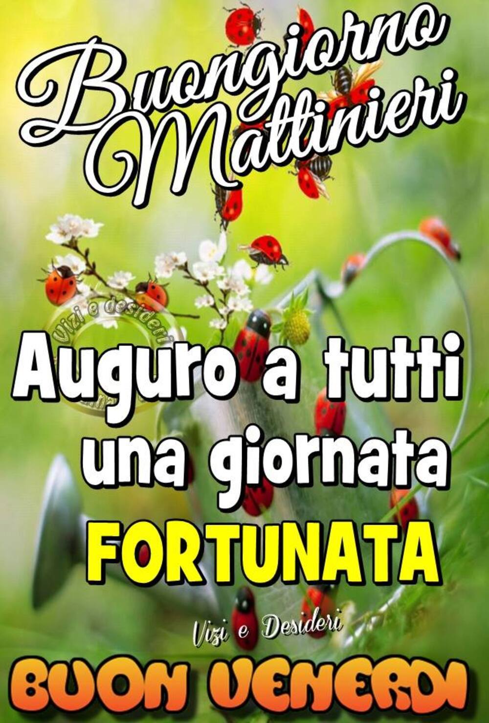 Buongiorno Mattinieri auguro a tutti una giornata fortunata... Buon Venerdì