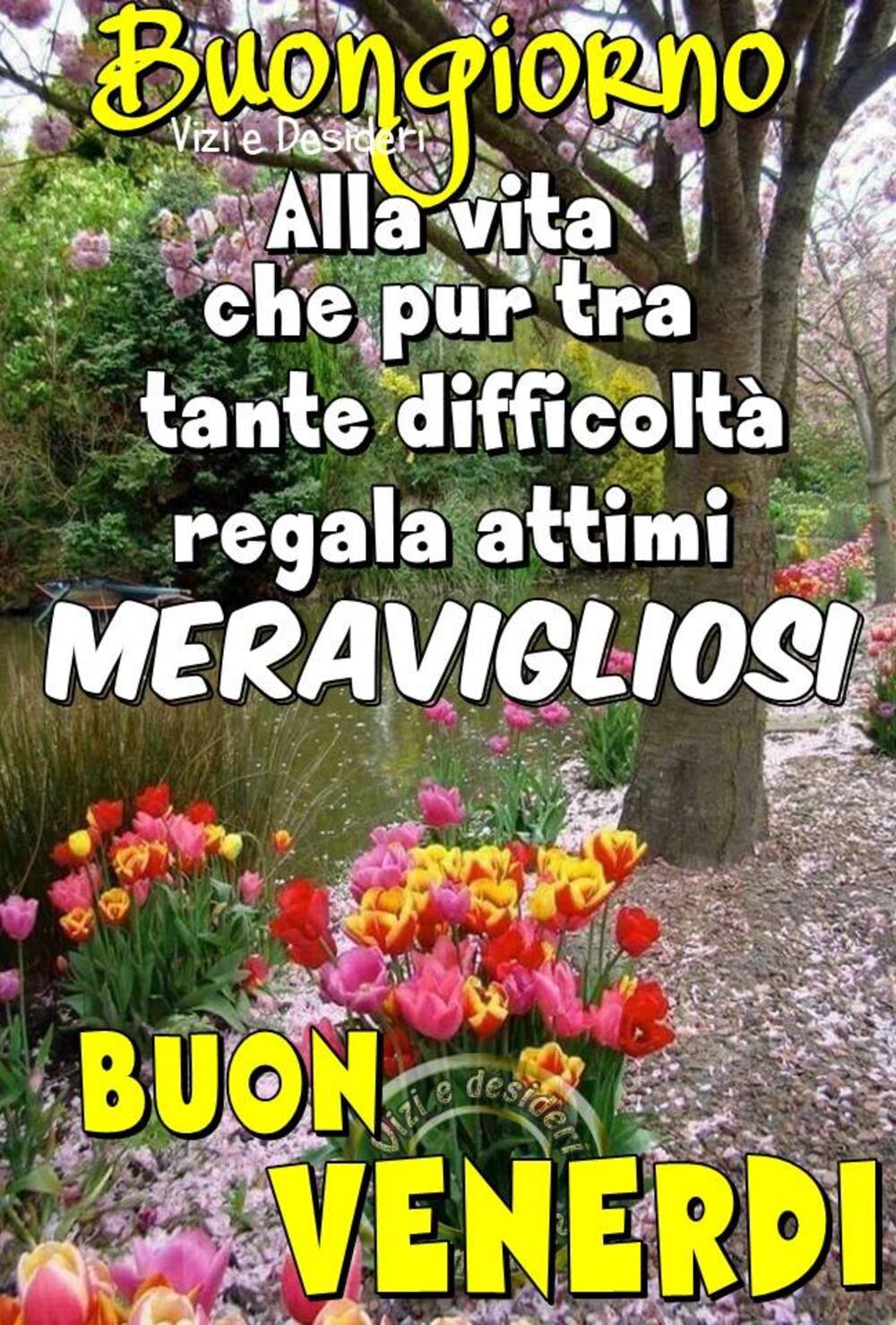 Buongiorno alla vita che pur tra tante difficoltà regala attimi meravigliosi! Buon Venerdì