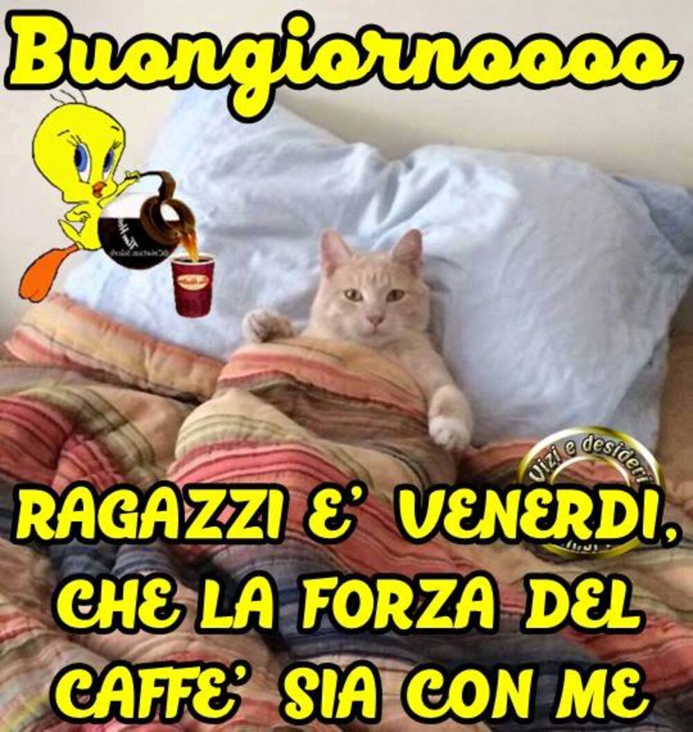 Buongiornoooo ragazzi è venerdì che la forza del caffè sia con me