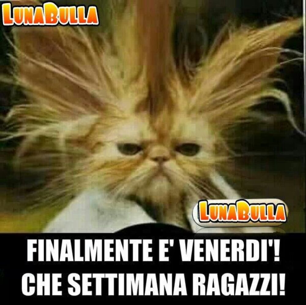 Finalmente è venerdì! Che settimana ragazzi!