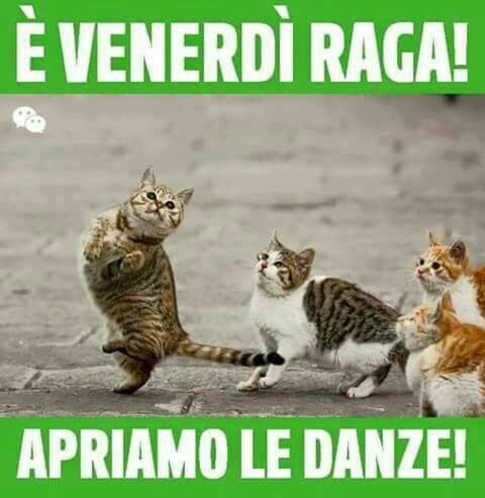 E' venerdì raga! Apriamo le Danze