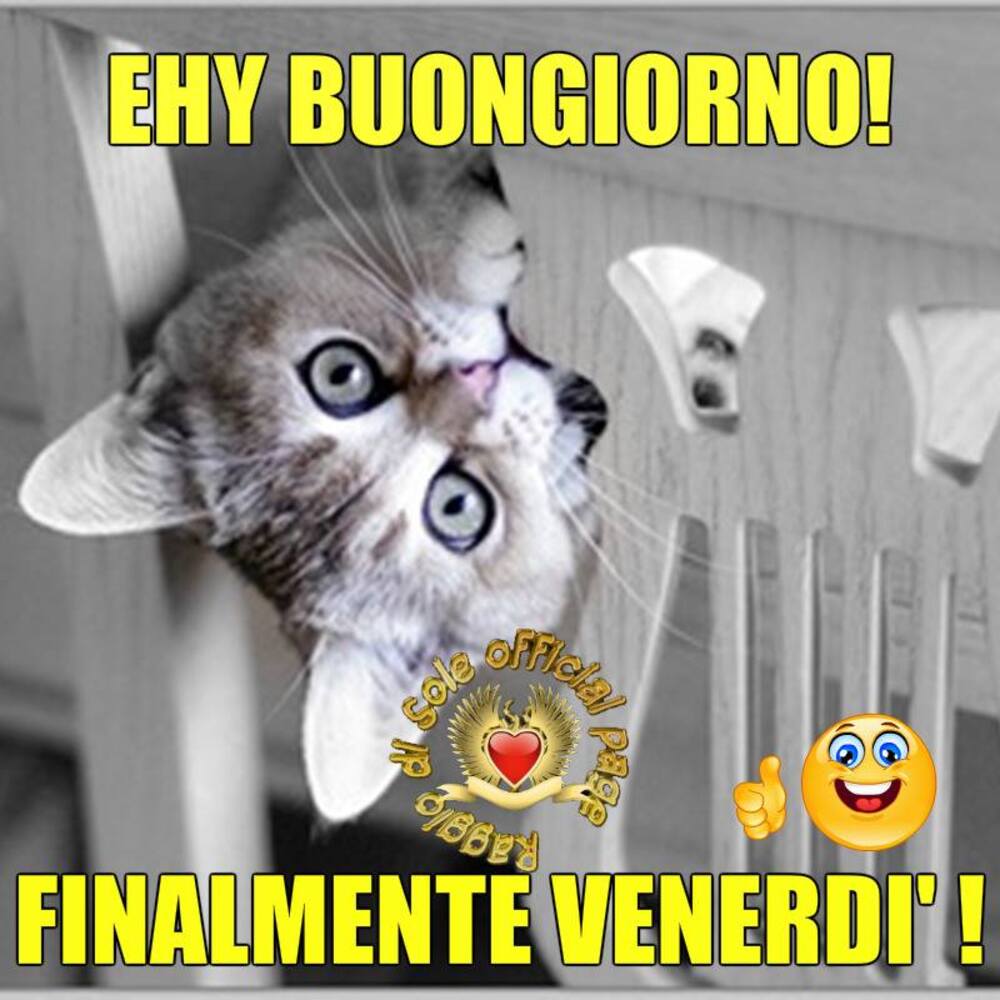 Ehy Buongiorno finalmente venerdì