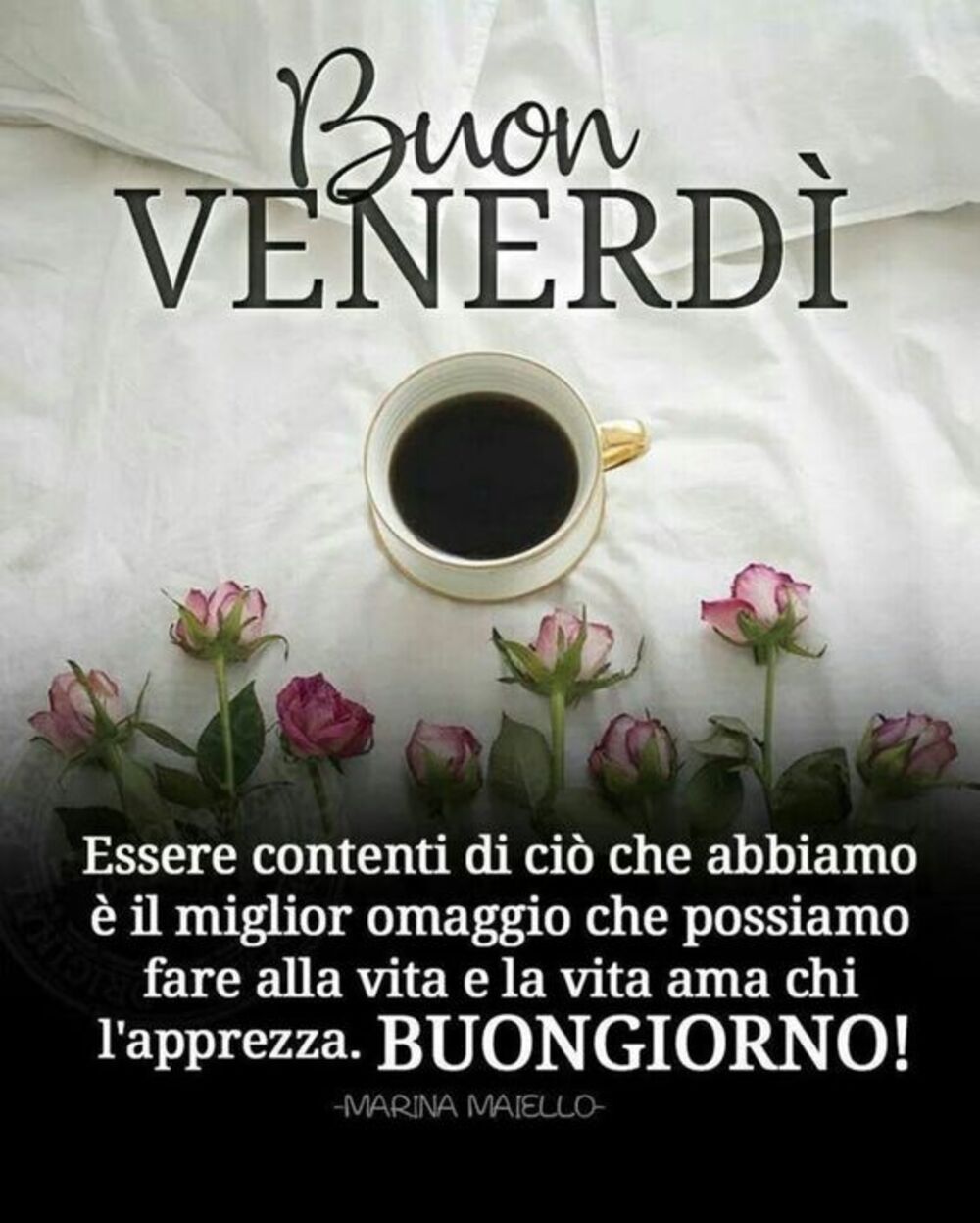 Buon Venerdì essere contenti di ciò che abbiamo è il migliore omaggio che possiamo fare alla vita e la vita ama chi apprezza. Buongiorno!