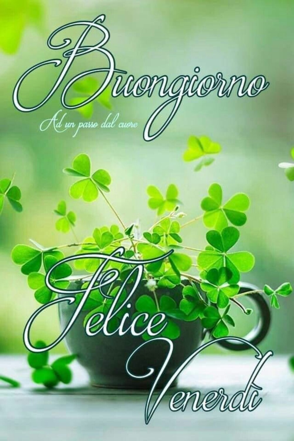 Buongiorno felice venerdì