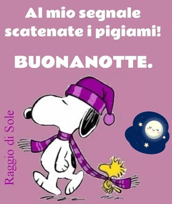 "Al mio segnale scatenate i pigiami! BUONANOTTE" - Snoopy