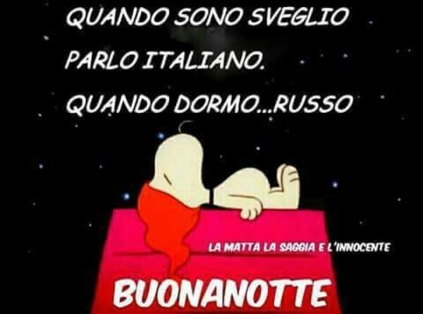 "Quando sono sveglio parlo italiano, quando dormo... RUSSO! Buonanotte" - immagini divertenti Snoopy"