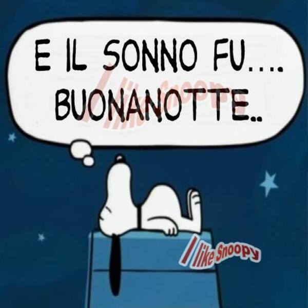 "E il sonno fu... BUONANOTTE..." - Snoopy