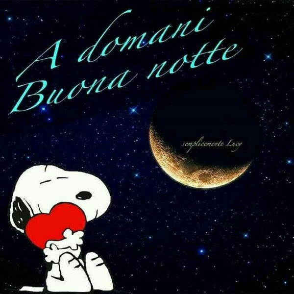 "A Domani Buona Notte"