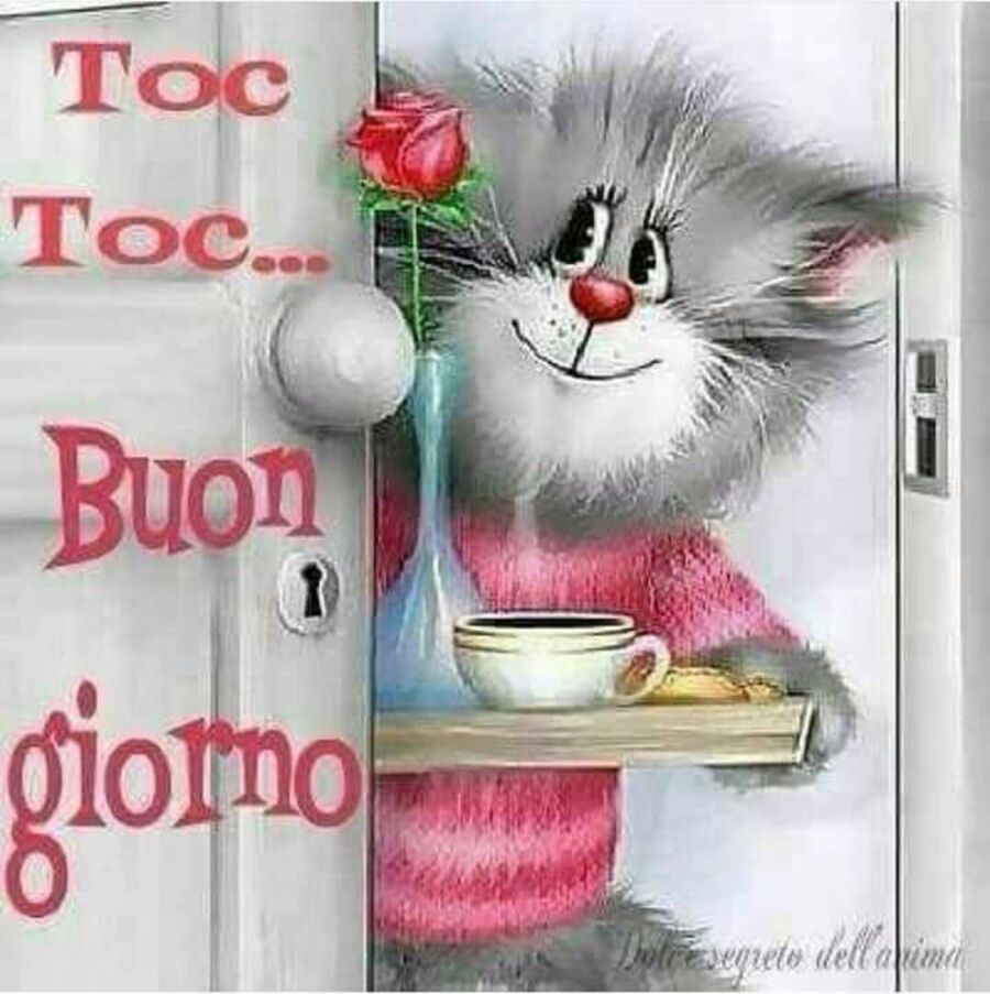 Toc Toc... Buon giorno