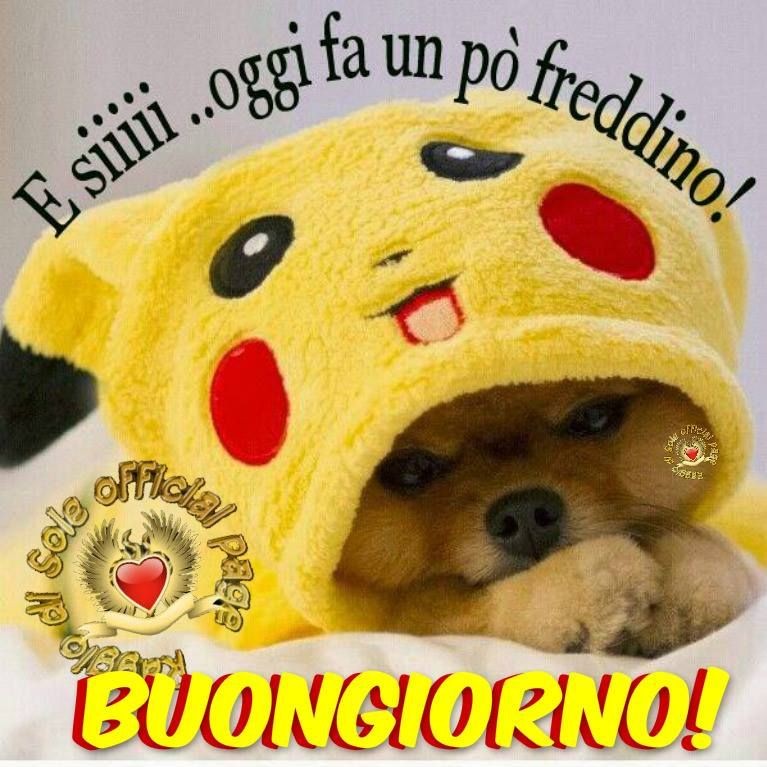 Buongiorno Freddo