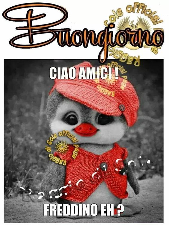 "Buongiorno, ciao amici, freddino eh ?!"