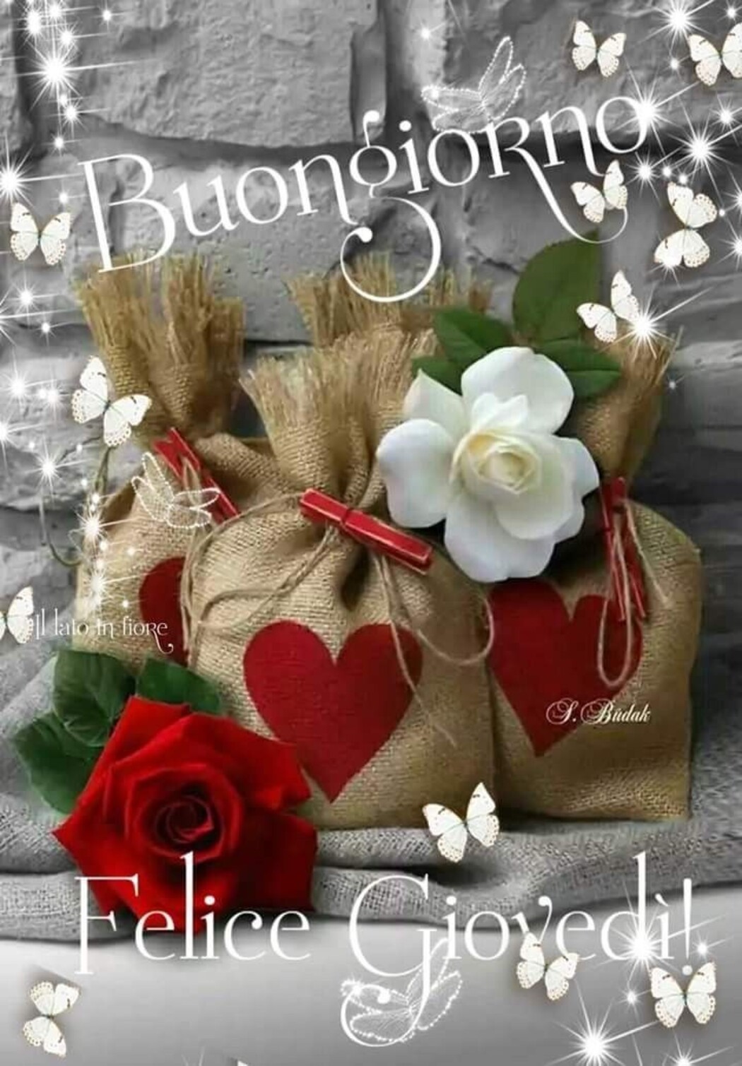 Buongiorno Felice Giovedì