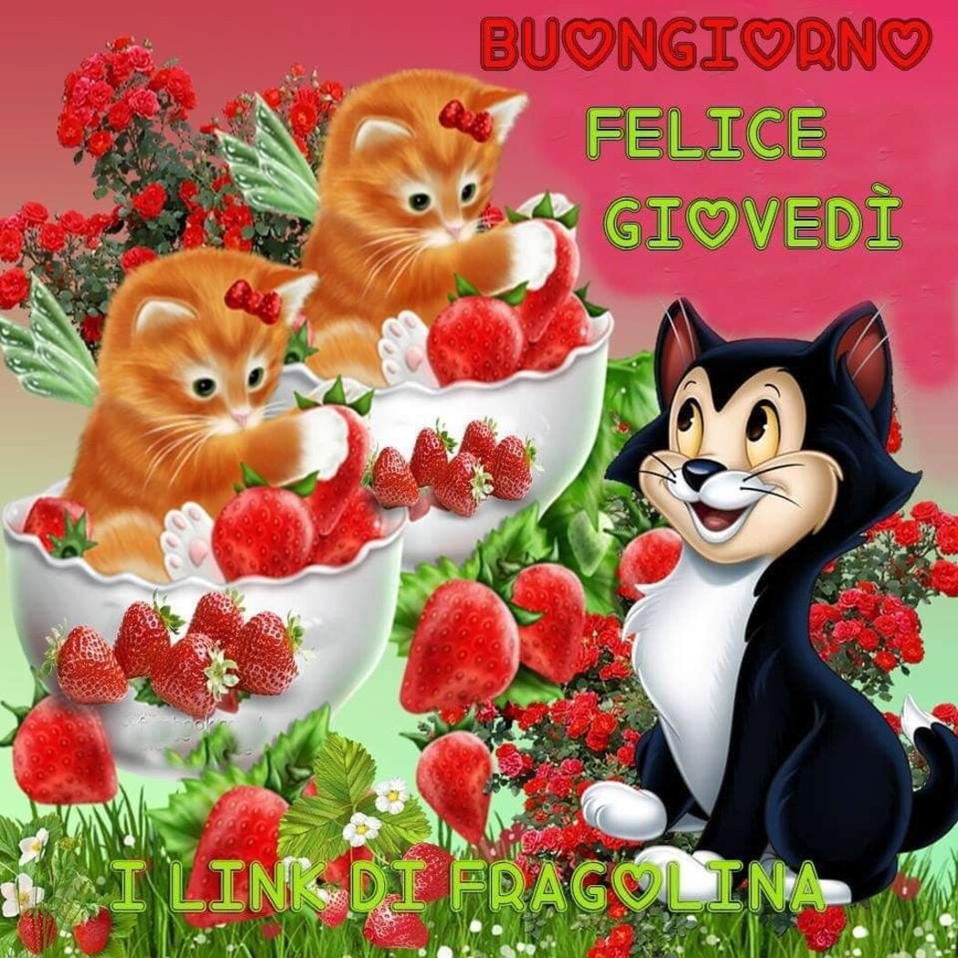 Buongiorno Felice Giovedì
