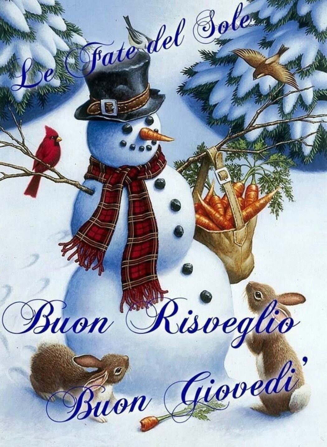 Buon Risveglio Buon Giovedì