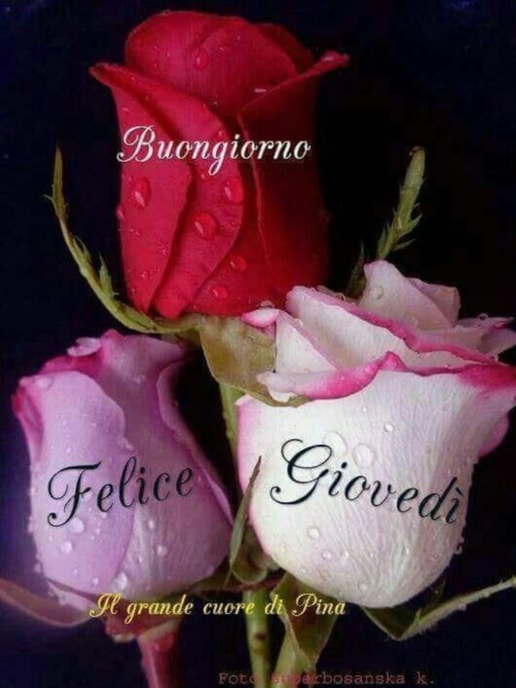 Buongiorno Felice Giovedì