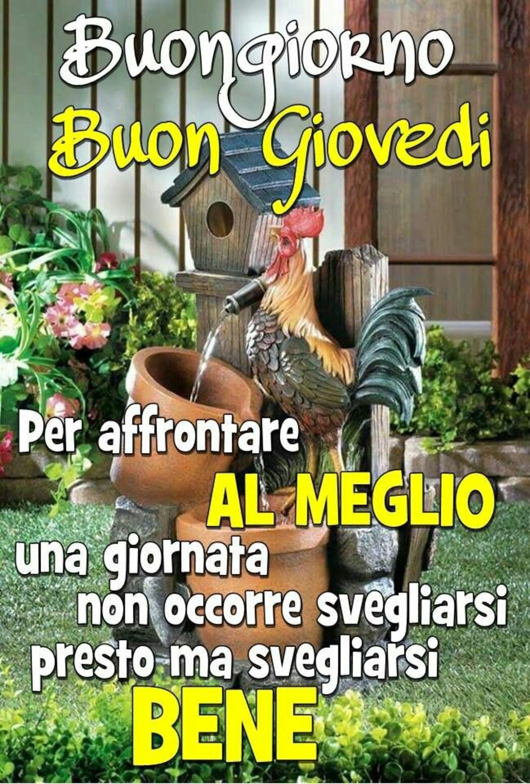 Buongiorno Buon Giovedì per affrontare al meglio una giornata non occorre svegliarsi presto ma svegliarsi bene