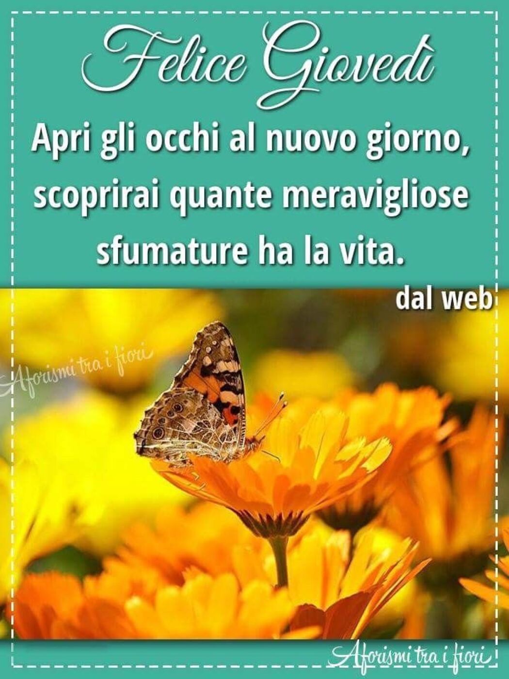 Felice Giovedì apri gli occhi al nuovo giorno scoprirai quante meravigliose sfumature ha la vita