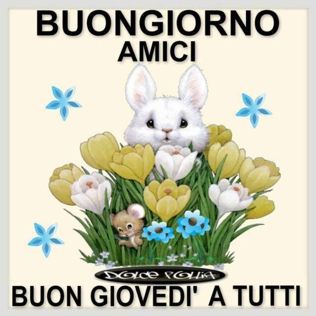 Buongiorno Amici Buon Giovedì a tutti