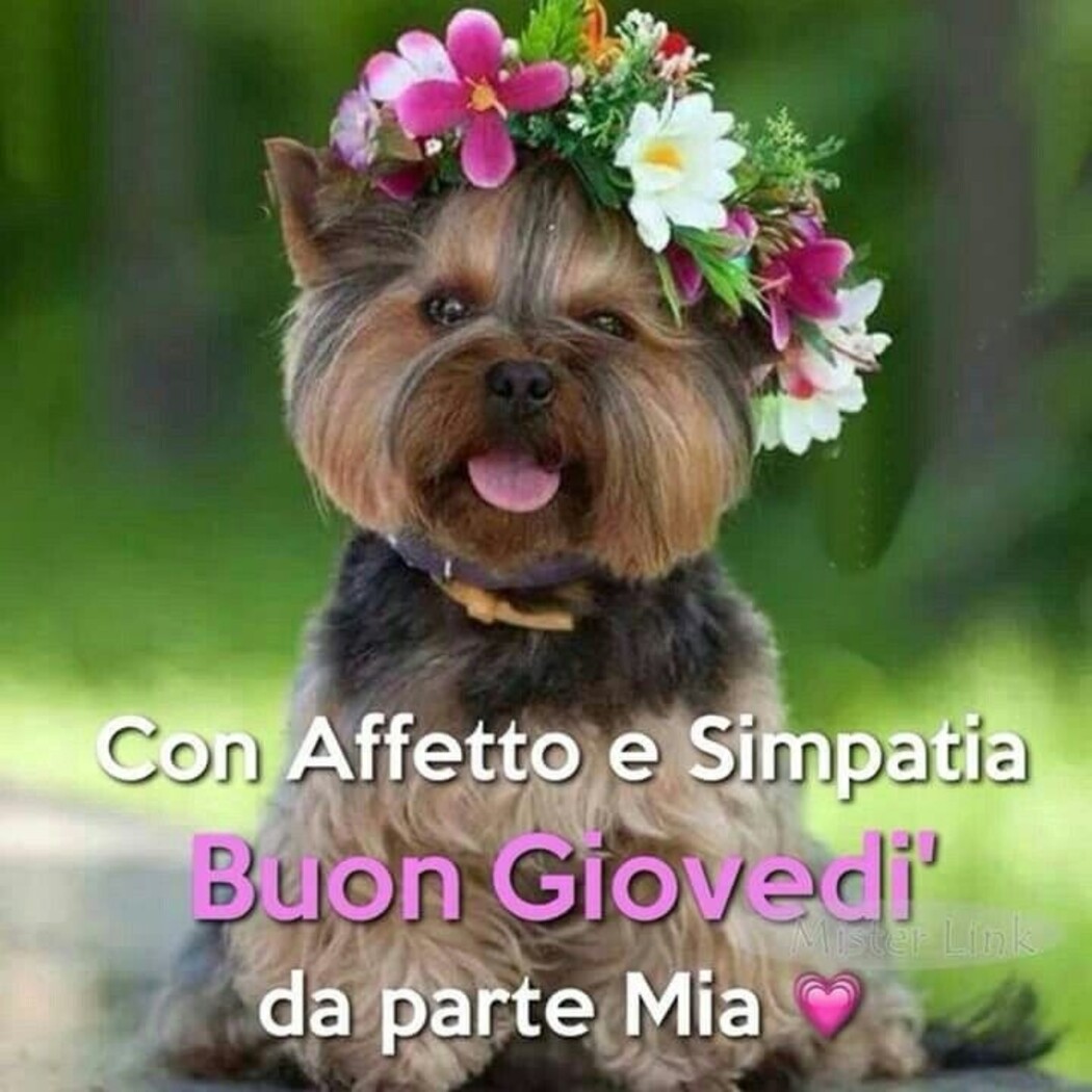 Con affetto e simpatia Buon giovedì da parte mia