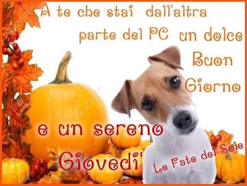 A te che stai dall'altra parte del pc un dolce buongiorno e un sereno giovedì