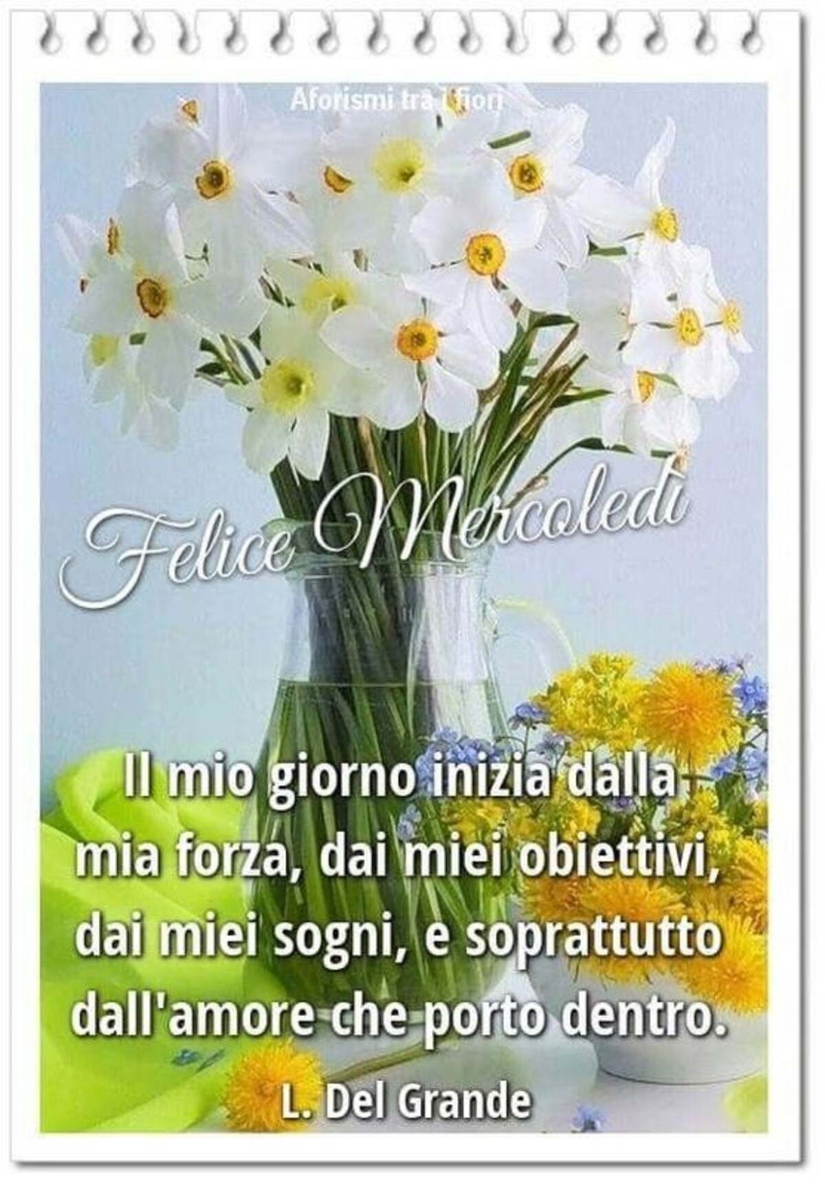 Felice Mercoledì il mio giorno inizia dalla mia forza, dei miei obiettivi, dai miei sogni, e soprattutto dall'amore che porto