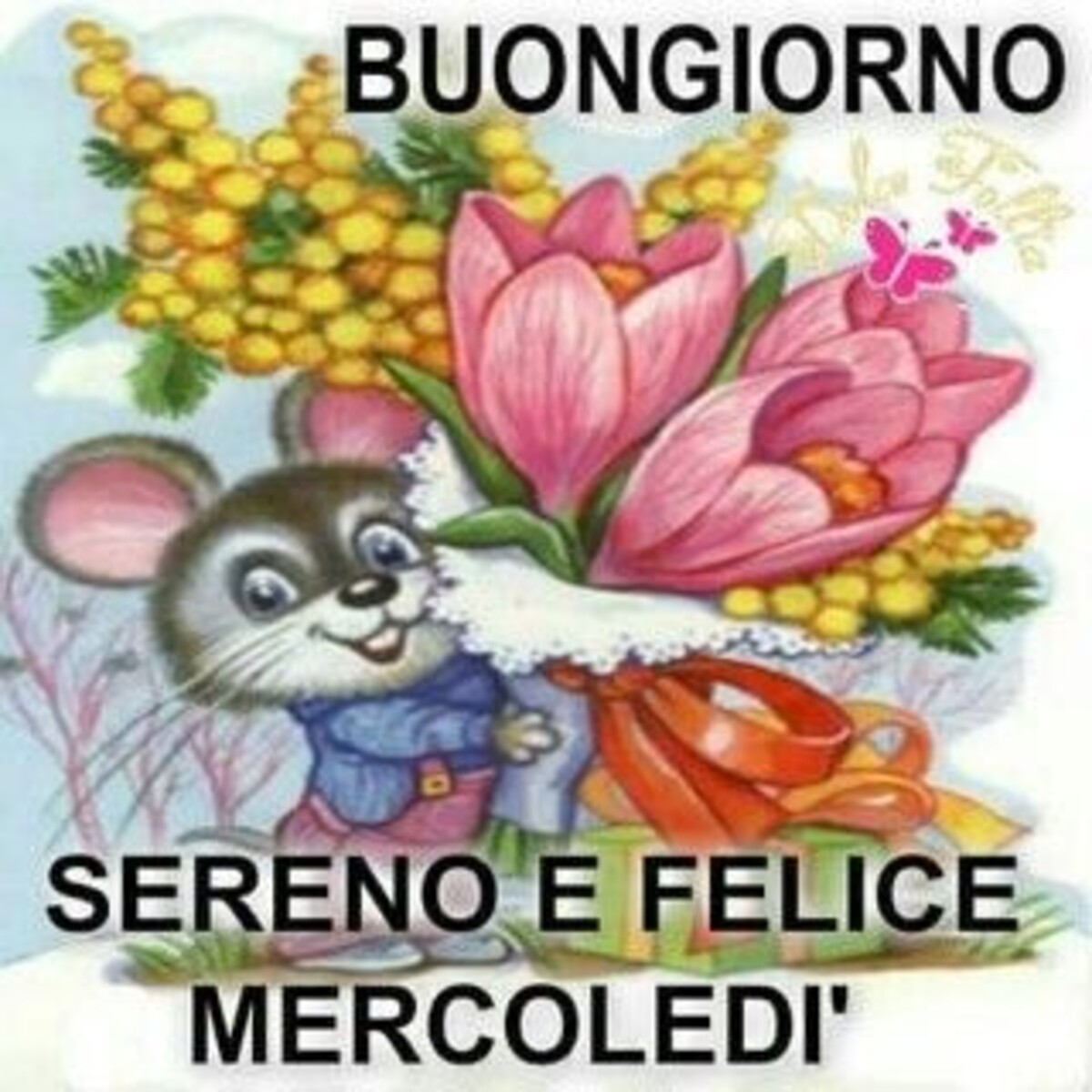 Buongiorno sereno e felice mercoledì