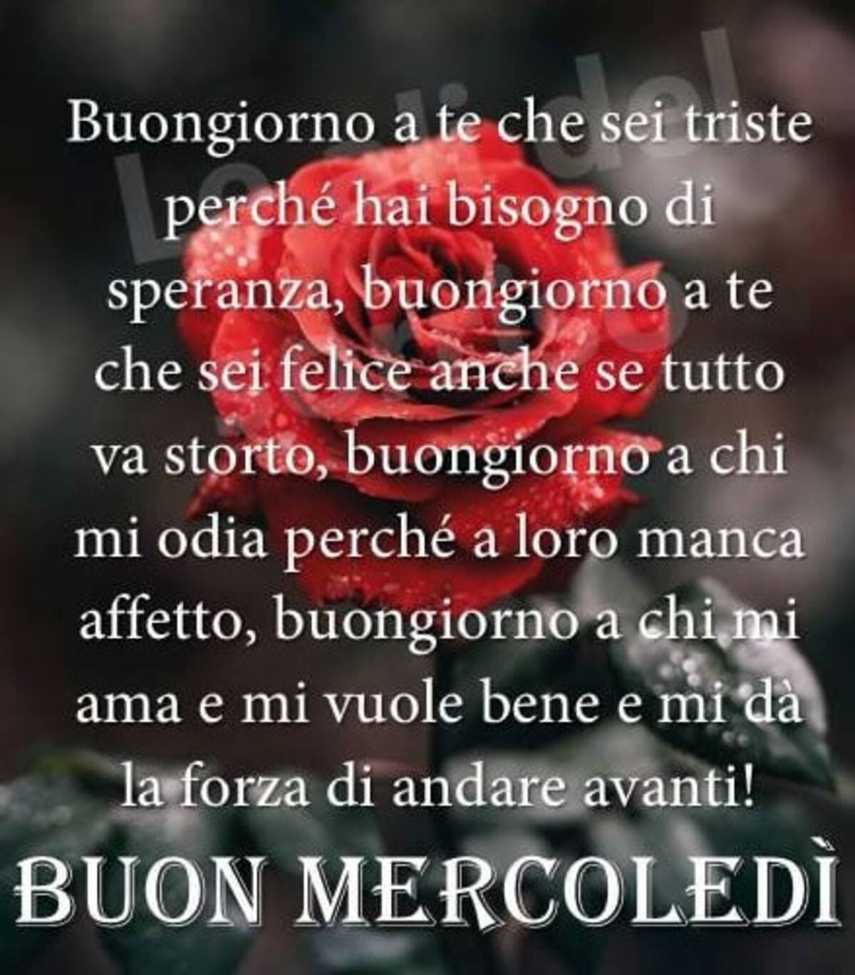 Buon mercoledì belle immagini