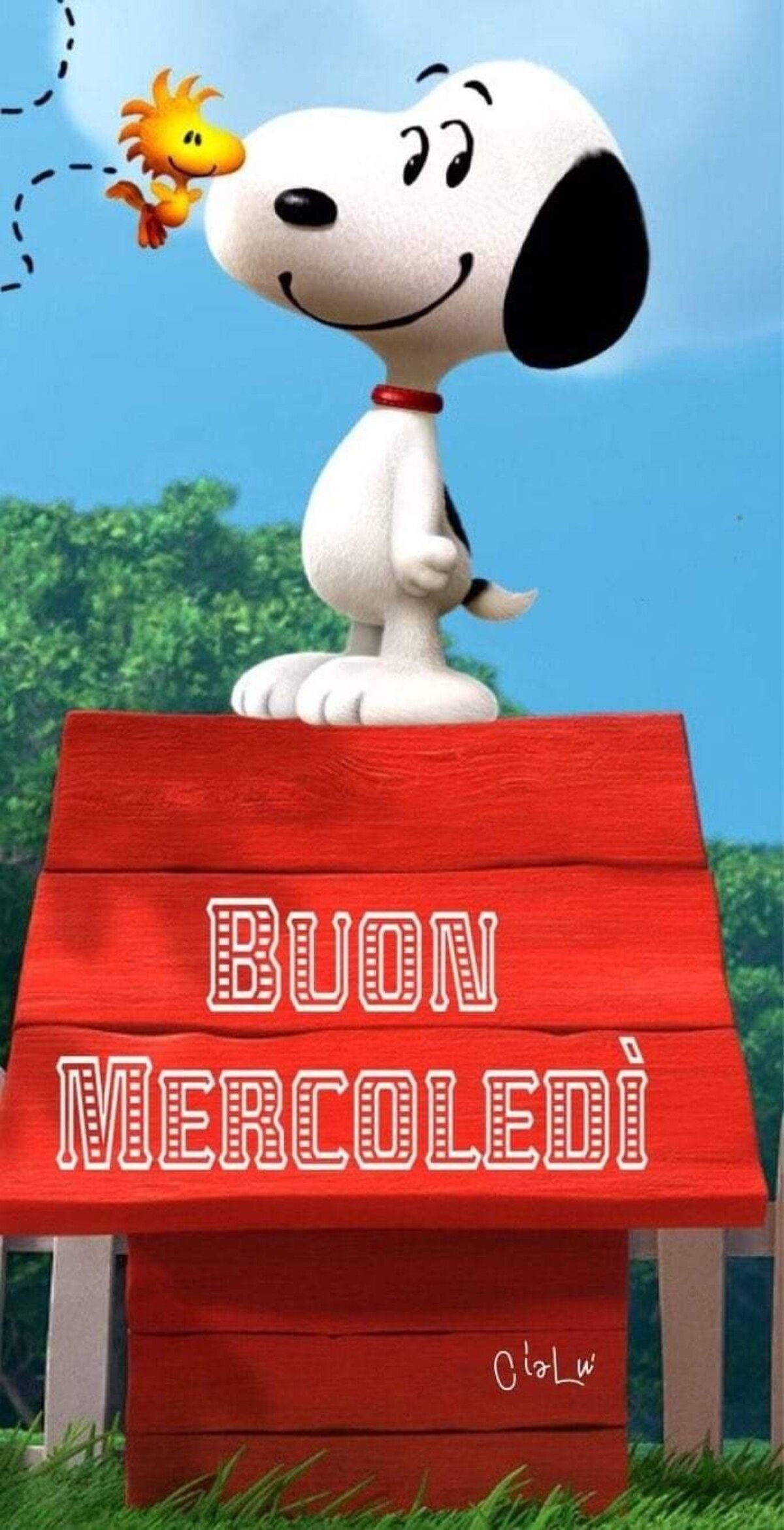 Buon Mercoledì