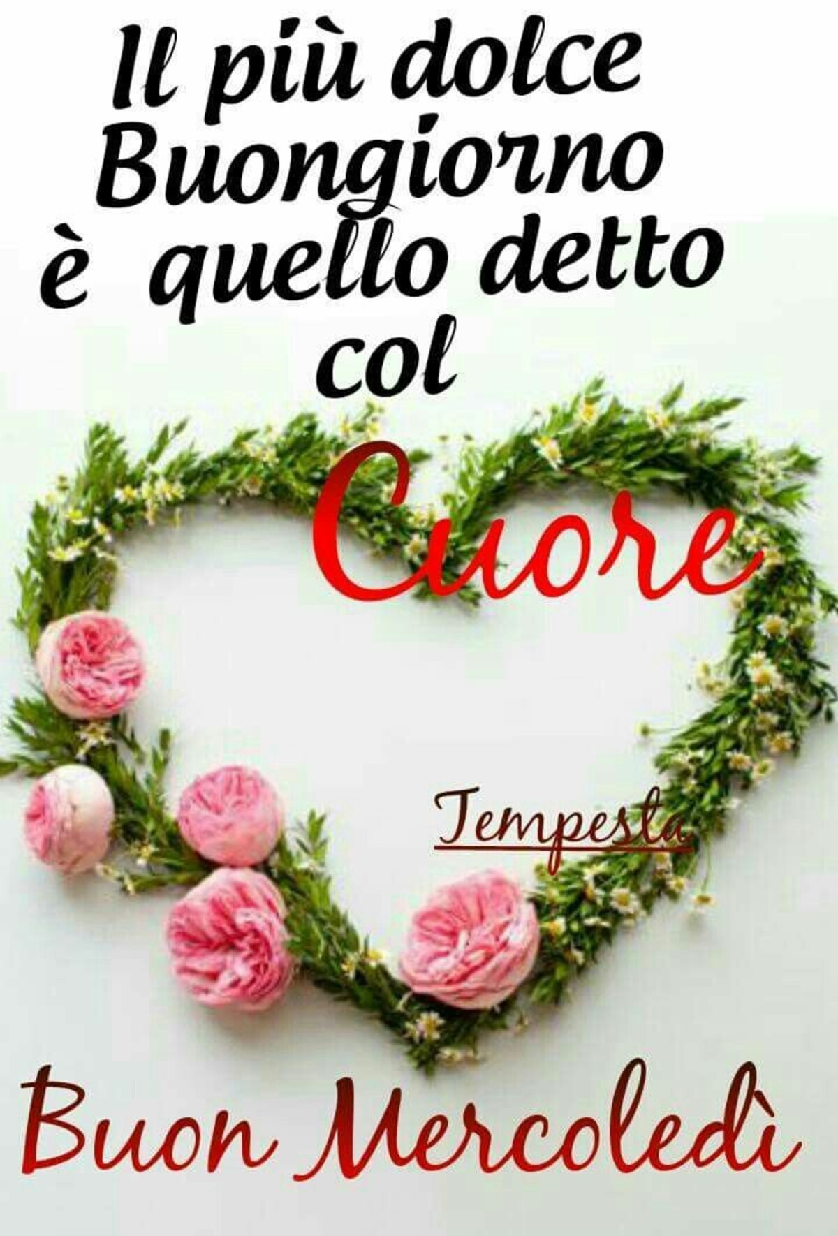 Il più dolce buongiorno è quello detto col cuore Buon Mercoledì