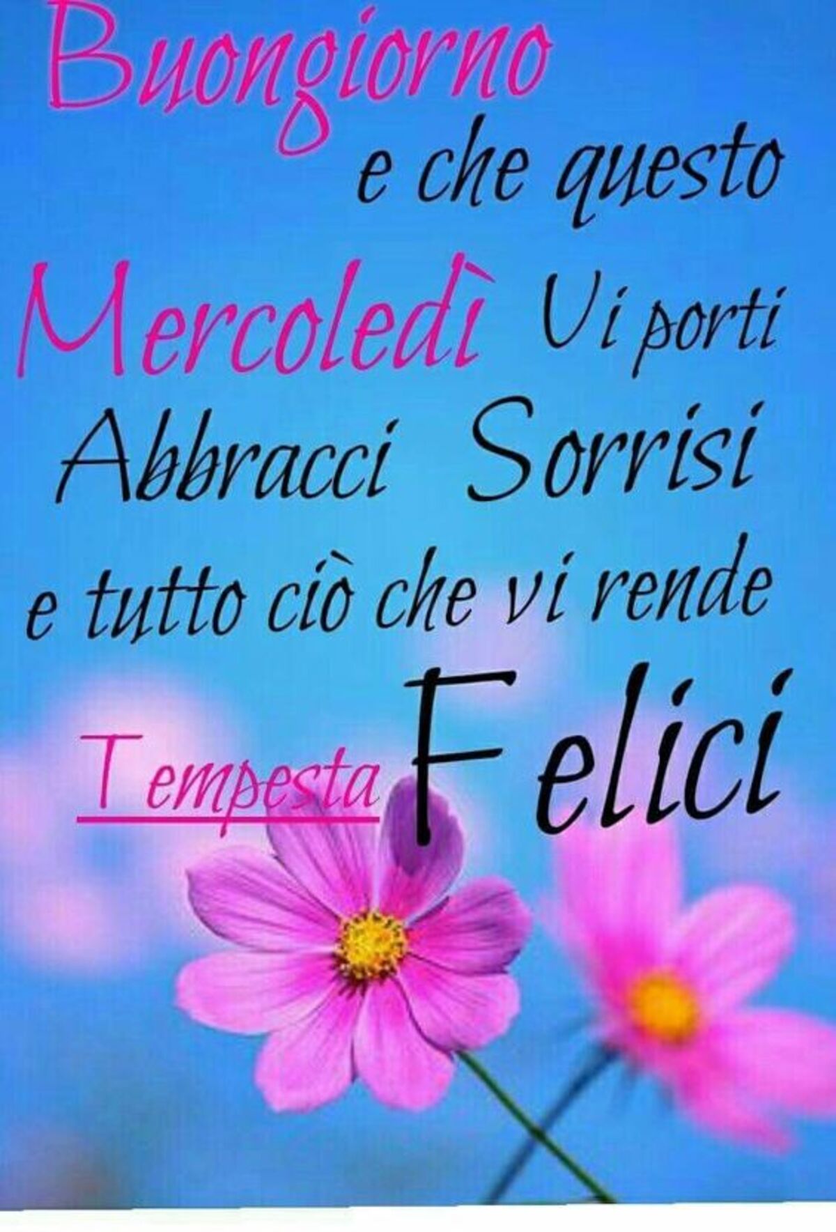Buongiorno e che questo mercoledì vi porti abbracci sorrisi e tutto ciò che vi rende felici