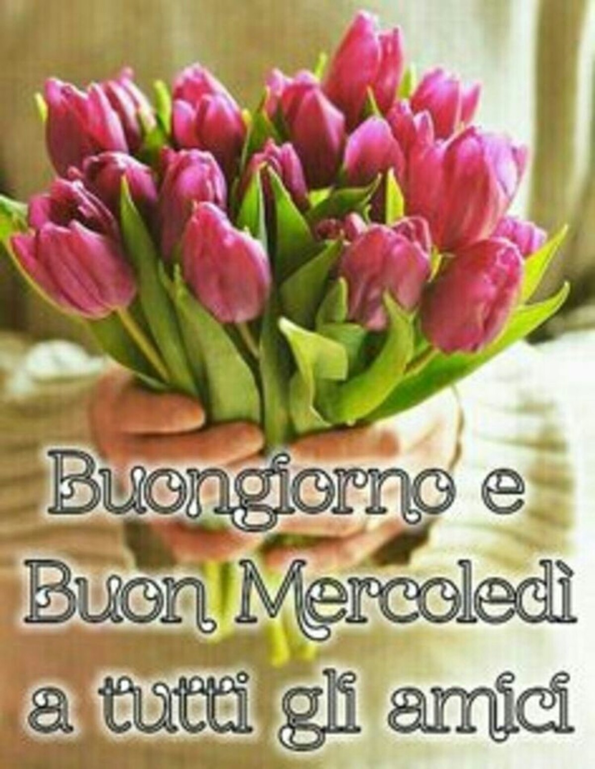 Buongiorno e Buon Mercoledì a tutti gli amici