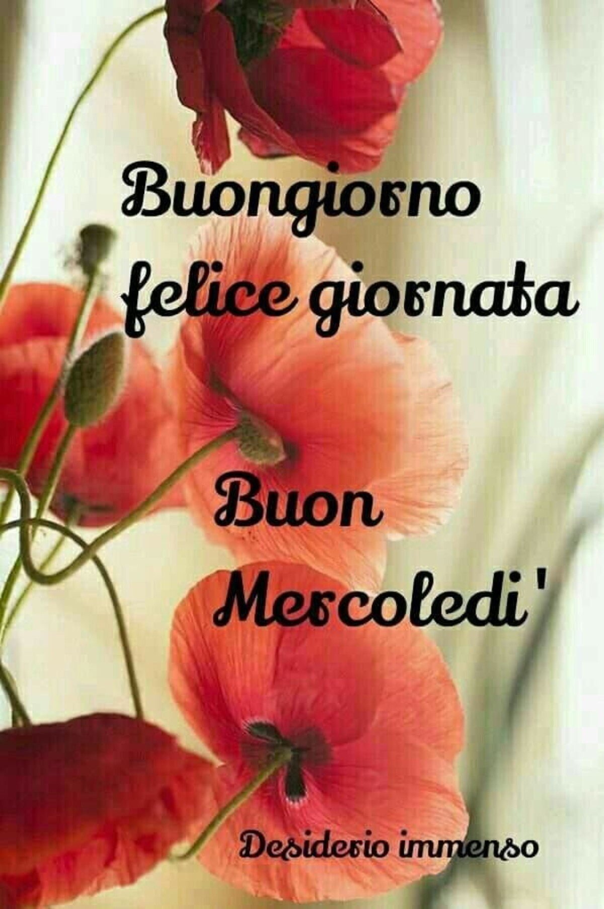 Buongiorno felice giornata Buon Mercoledì