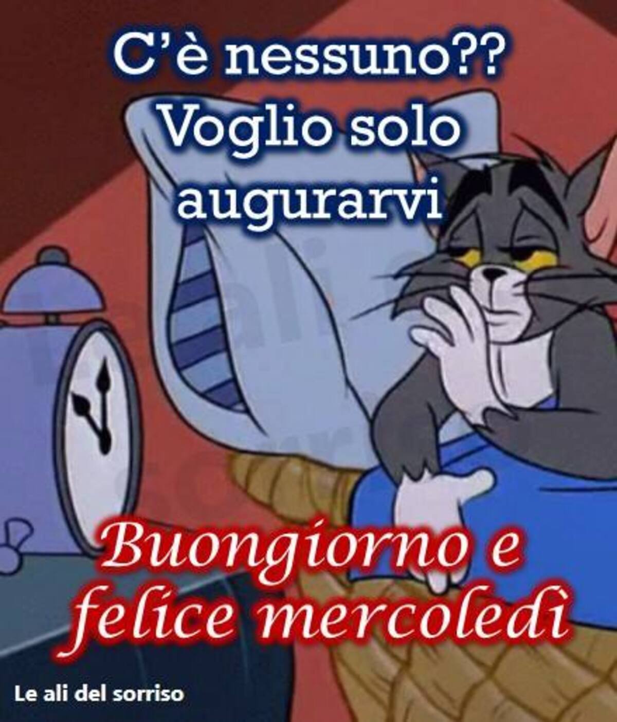 C'è nessuno?? Voglio solo augurarvi Buongiorno e Felice Mercoledì